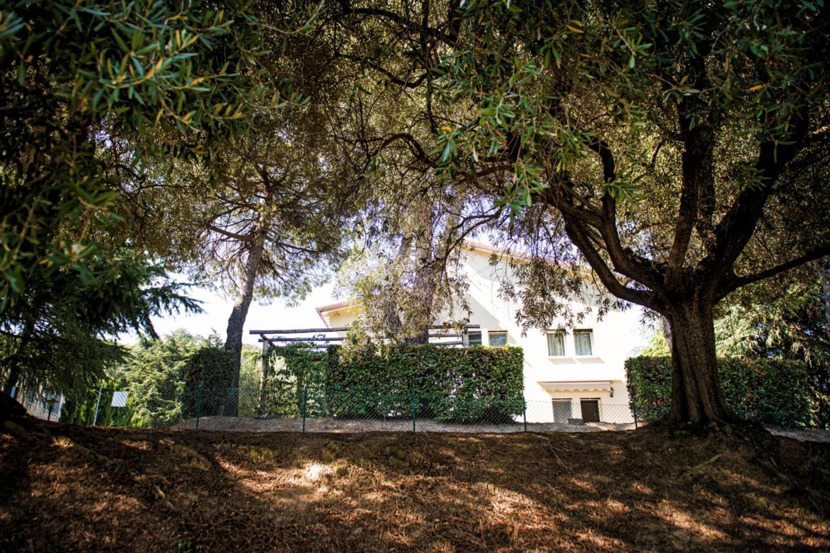 Fattoria Busa Dell'Oro Monte Ortone Exterior foto